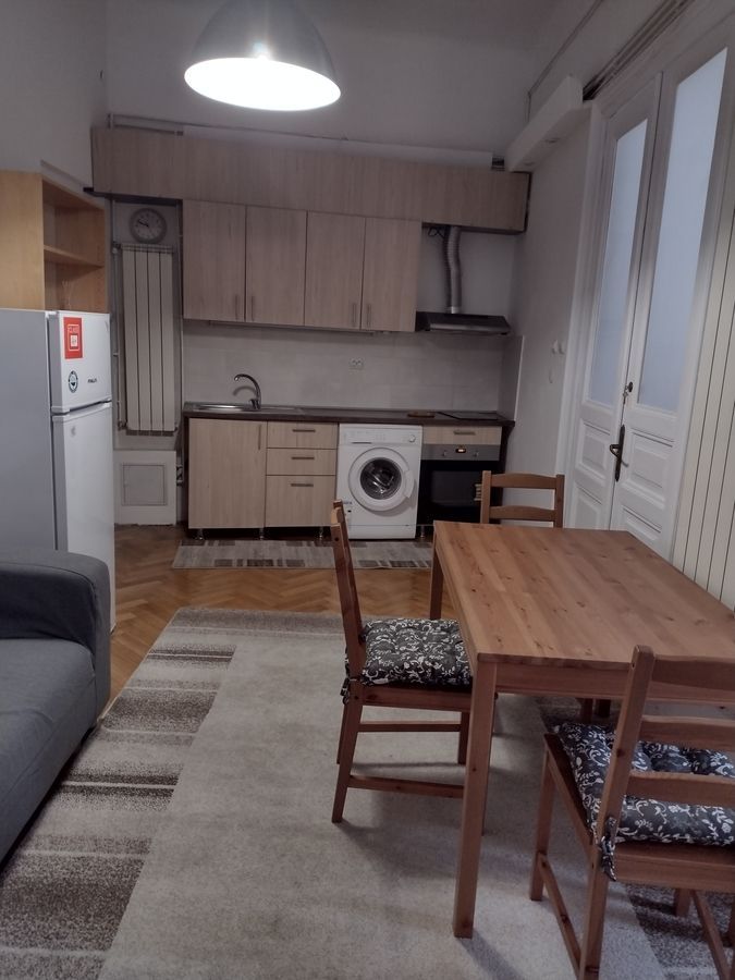 Stirbei Voda, Cismigiu, Conservator - Poză 4