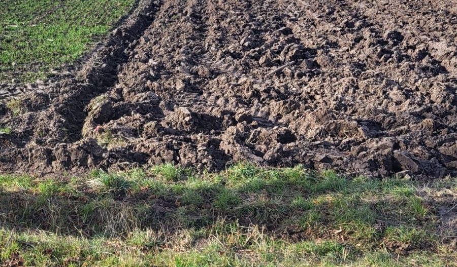 Teren 36 Ari | Mitocu Dragomirnei | 25.500 € - Poză 1