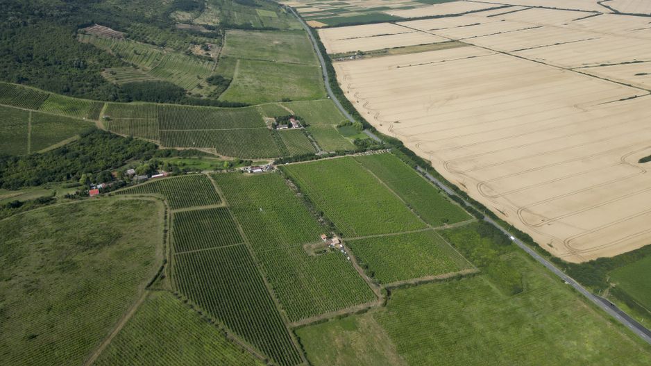 Vie Tradițională „Halta Lupilor” - Poză 29