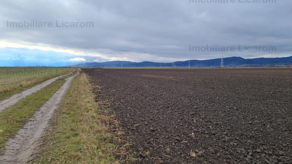 Teren Agricol 2,9 HA,intre Cristian si Vulcan/teren SPORT - Poză 6