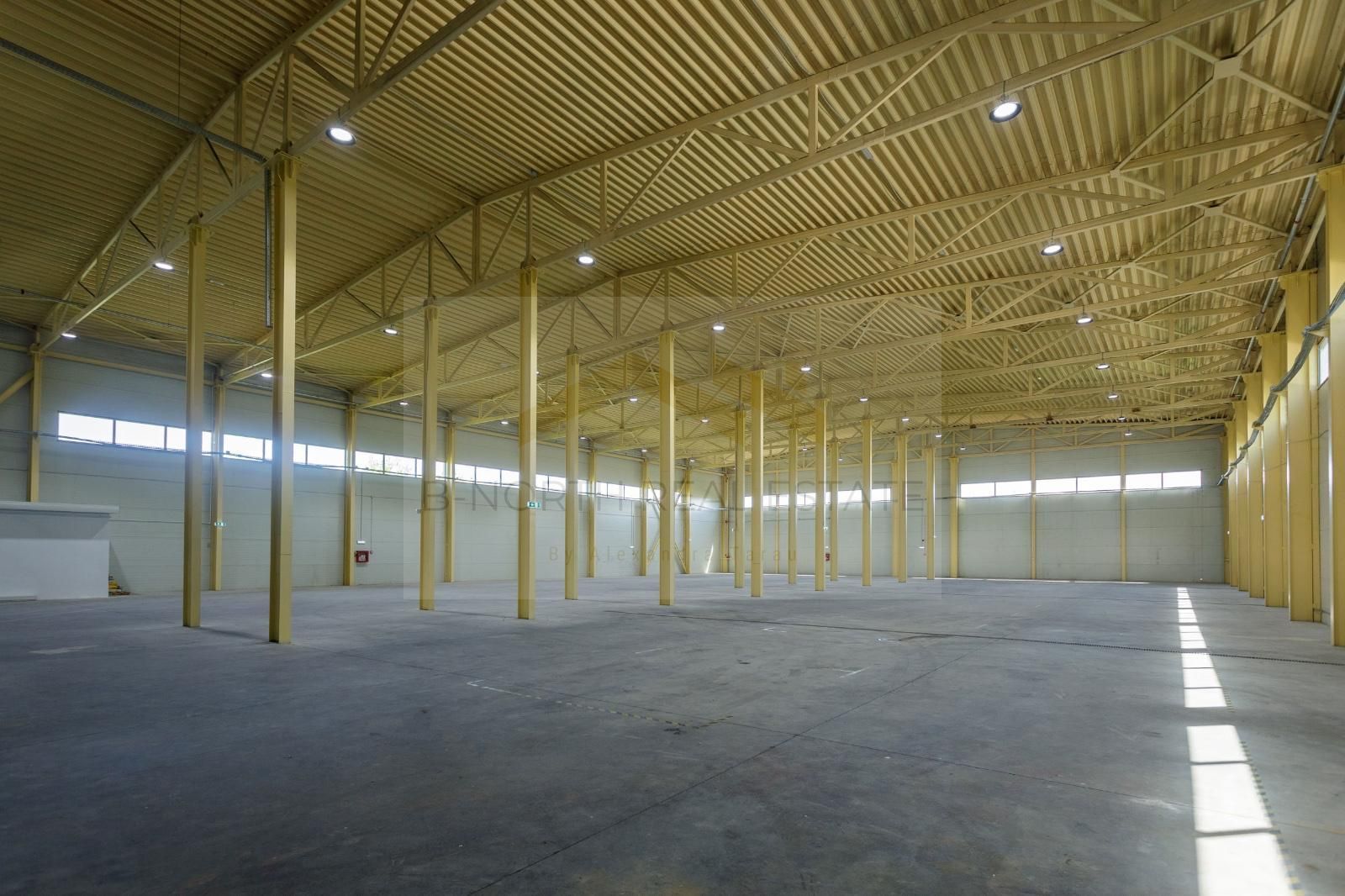 Hală industrială 1000 mp Otopeni | Rampe TIR | ISU | Acces DN1 & Centură - Poză 15