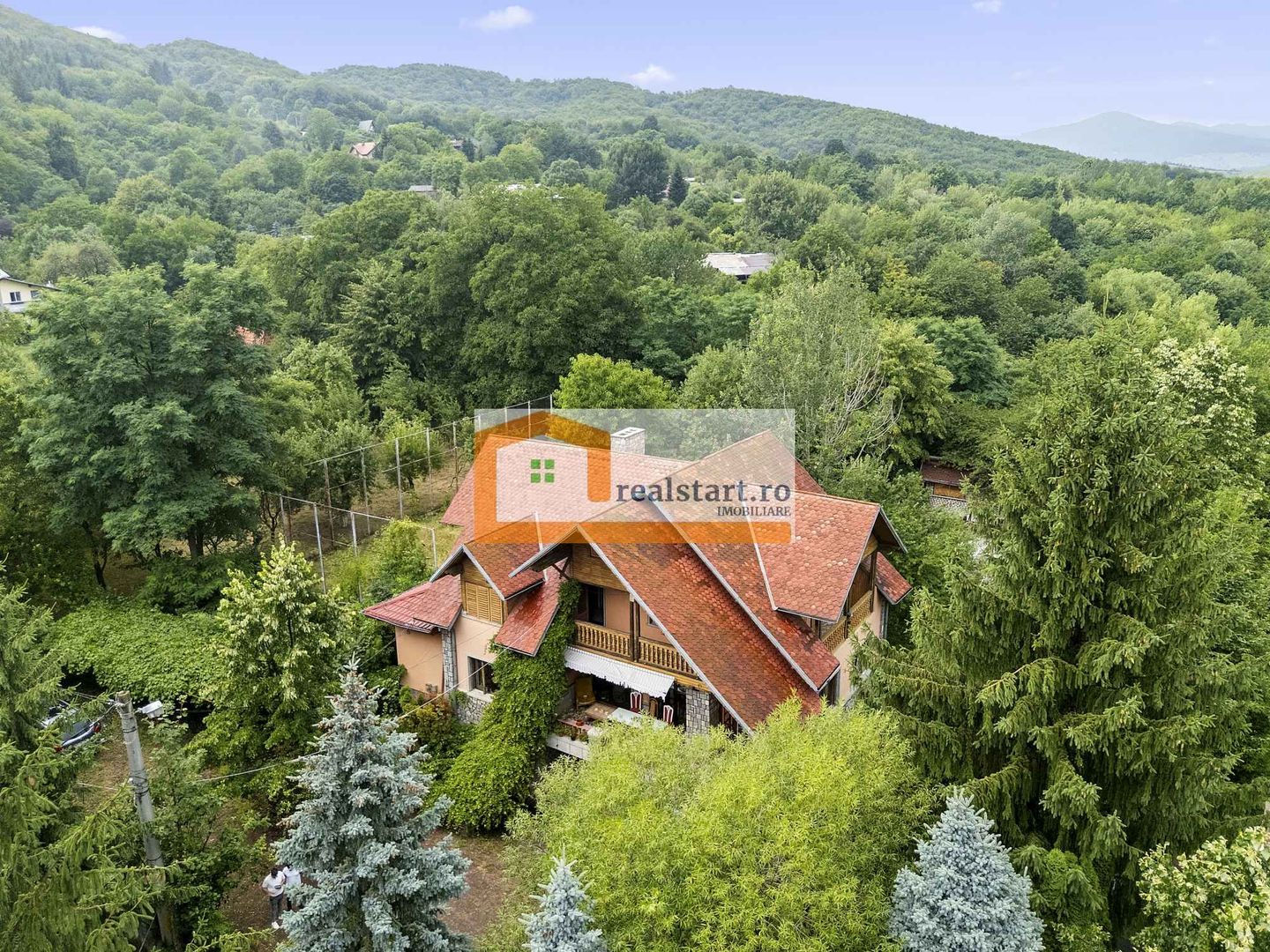 Vedere directa la Padure, 5000mp teren, Vila D+P+1E+M, semineu, foisor - Poză 4