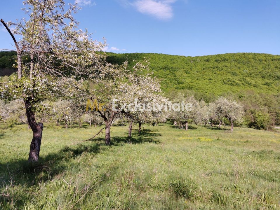 Teren 680mp Budeasa Mica, AG - Poză 7