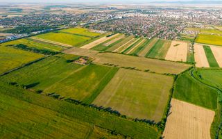 50 ha teren compact în Bujac - Poză 3