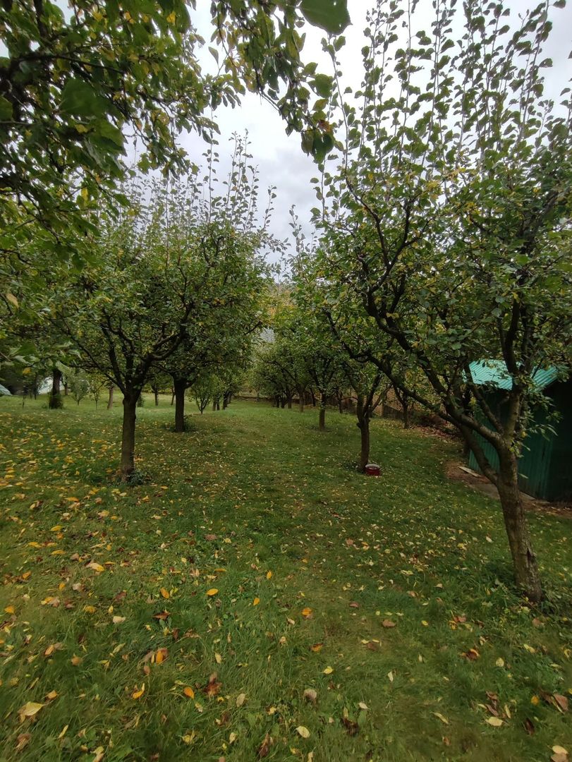 Proprietate deosebită | Casă P+E | Lunca Mare, Valea Doftanei - Poză 19