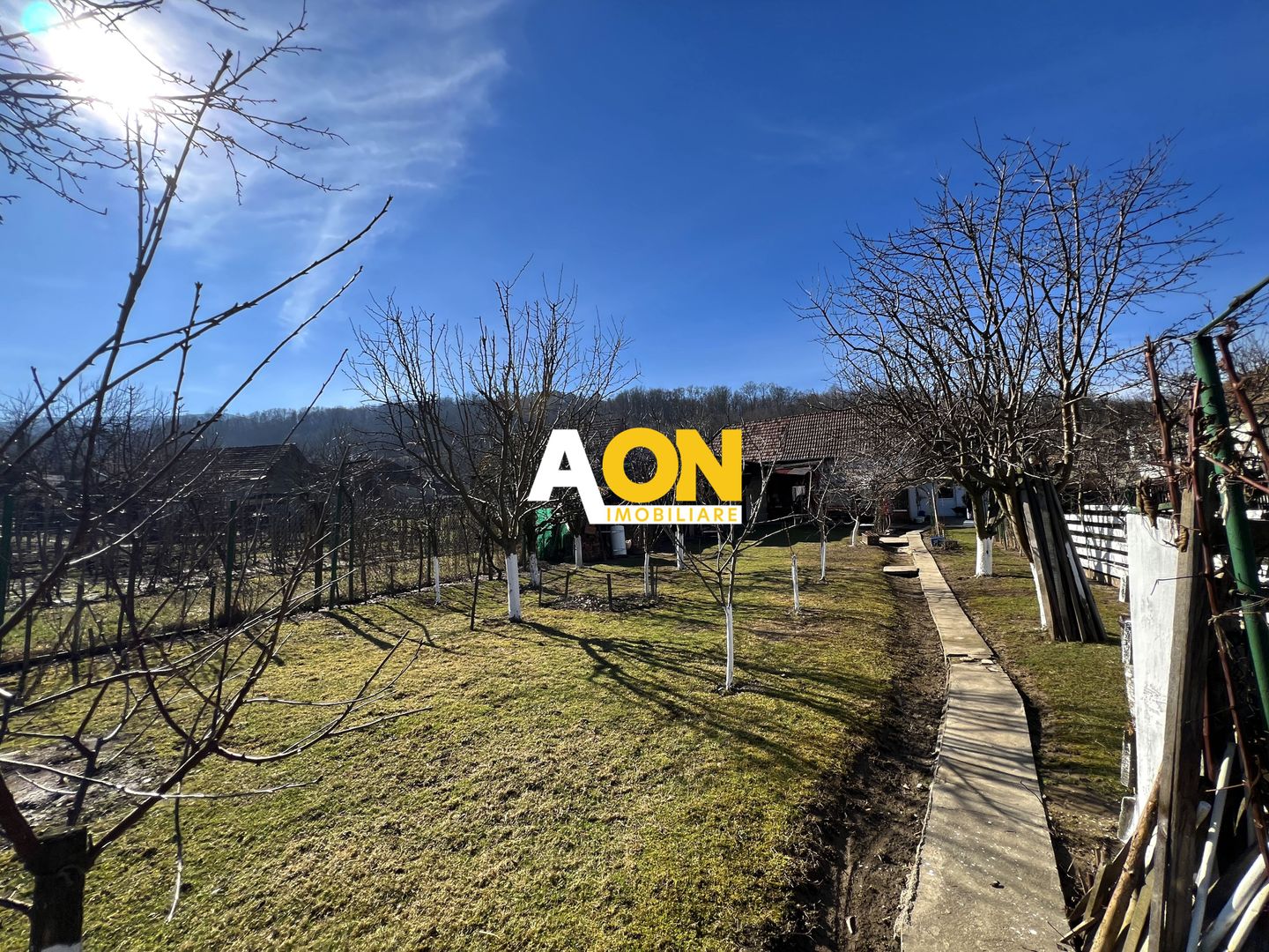 Casa de vanzare pretabila 2 familii, garaj, livada, comuna Pianu - Poză 38