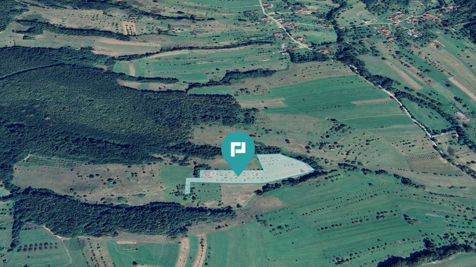 Teren de 92294 in Halmagiu - Poză 2