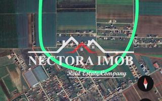 NECTORA IMOB-Ocazie-Teren Intravilan 567 mp, Livada de Bihor,Utilitati - Poză 2