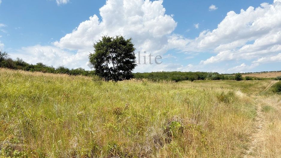 Teren intravilan cu o suprafață de 2.250 mp | Ideal ptr investitii - Poză 3