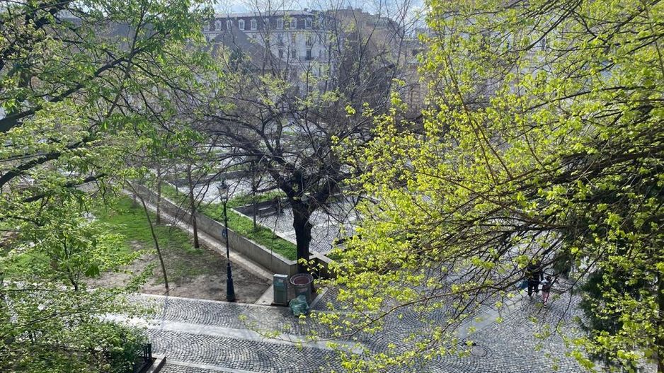 BRASADAS închiriază ap 2 cam Unirii Bratianu Cocor. - Poză 7