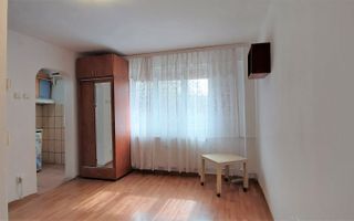 Vanzare garsoniera conf 2, Teiul Doamnei, Lacul Tei - Poză 9