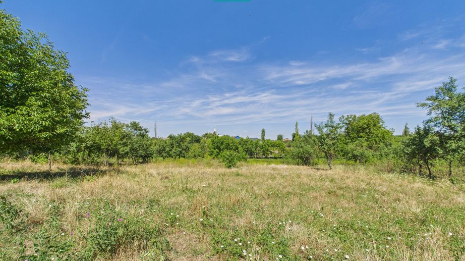 Teren 4919 mp– Comuna Călacea - Poză 2