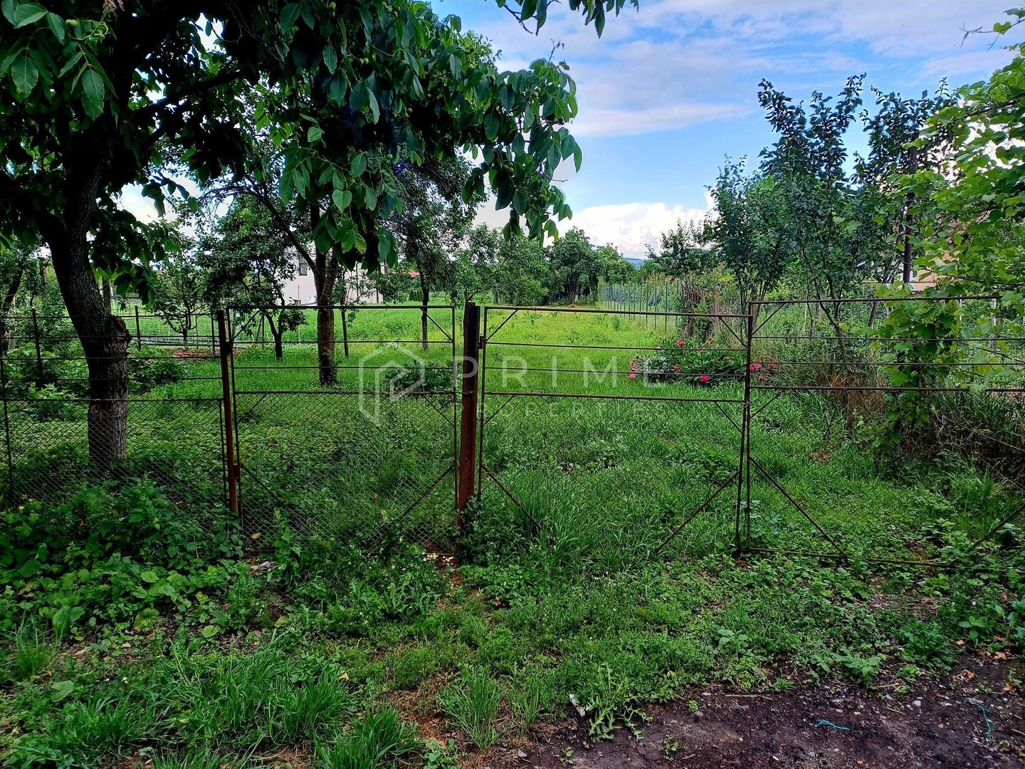 OPORTUNITARE, Sângeorgiu de Mureș,  centru, 12 arii - Poză 7