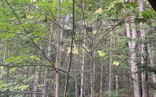 Casa/Vila de vanzare in Predeal - Poză 30