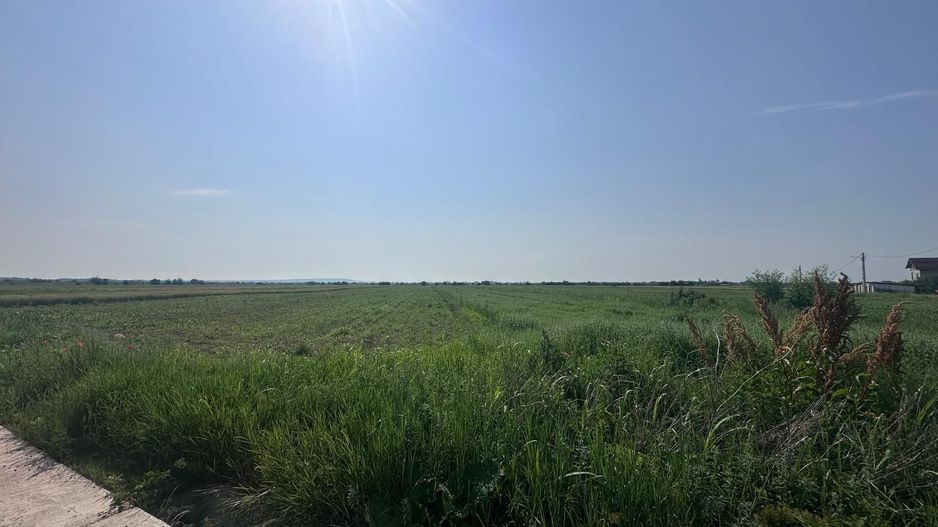 VÂNZARE TEREN MATRACA - Poză 3