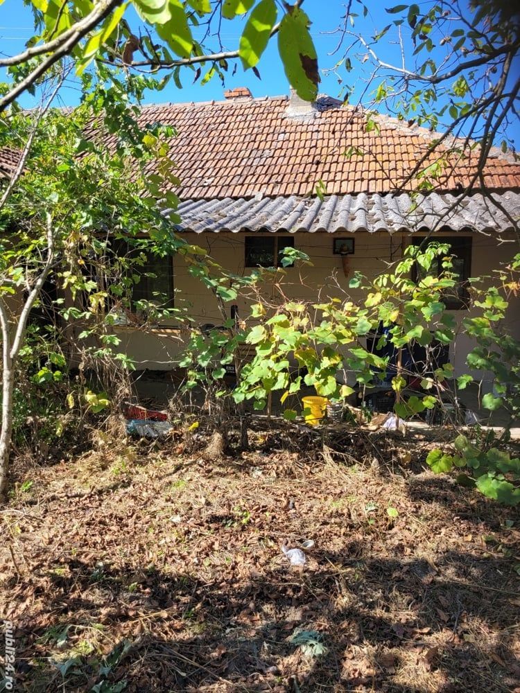 BRASADAS vinde casa in Moftinul Mare. - Poză 1