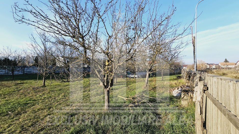 Teren intravilan | De vanzare | 1769 mp | 56 ml deschidere | Cetate - Poză 2