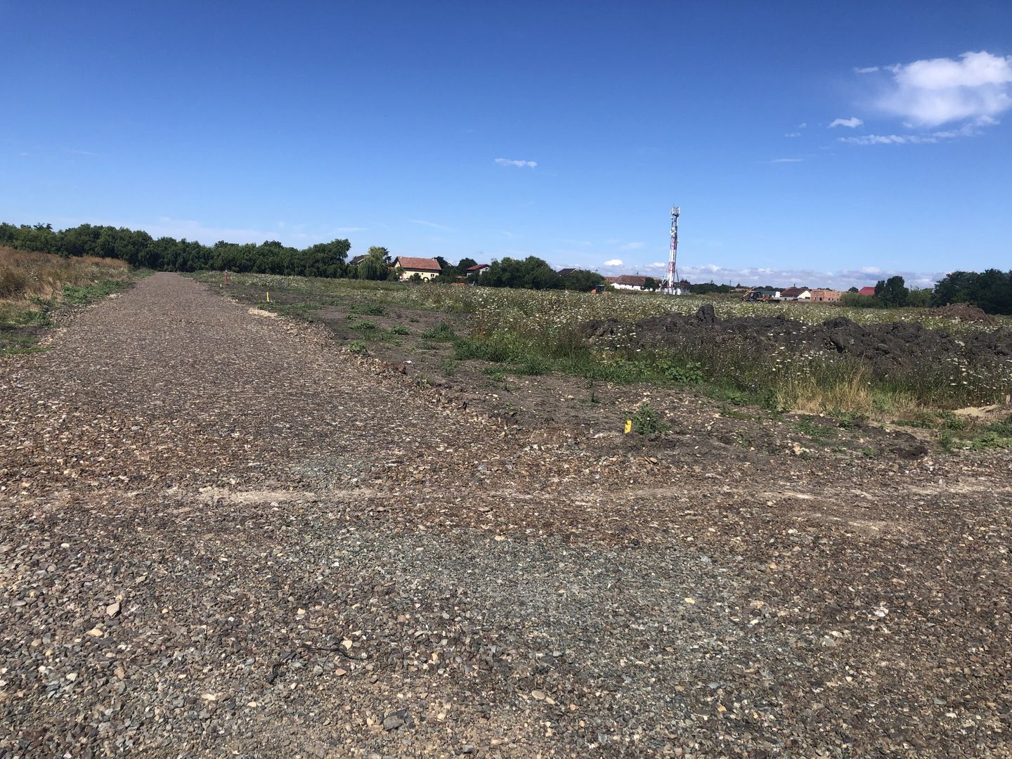 Teren  Sanandrei- zona str Lalelelor-1390 mp - Poză 7