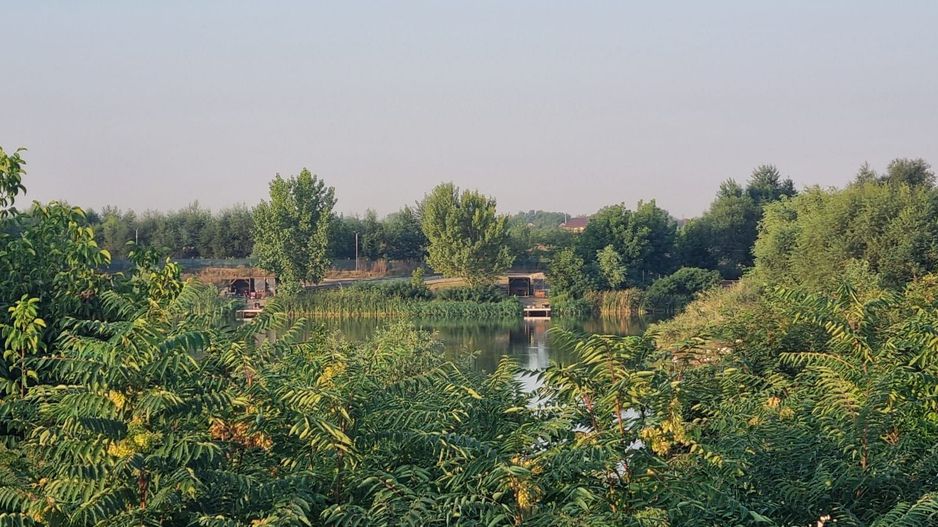 Teren cu Vedre Lac - Poză 3