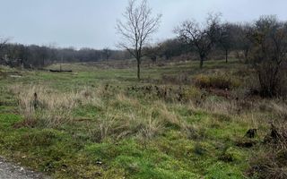 ⭐  Teren de 2.700 mp cu front generos – Ocazie în Oncea - Poză 3