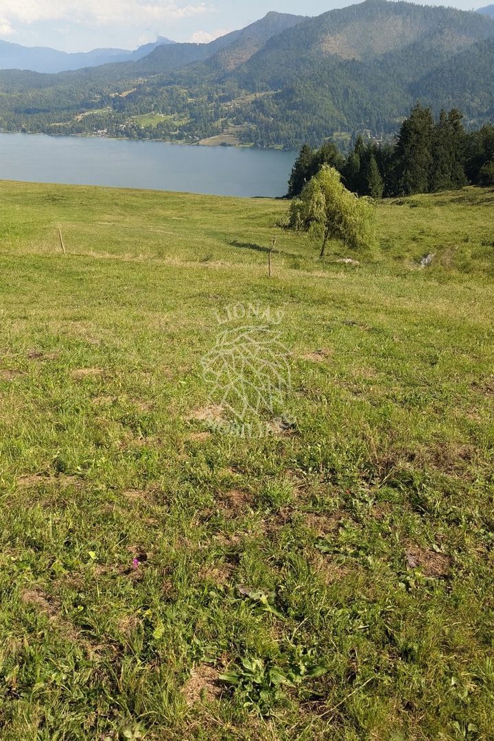 Oportunitate!Teren intravilan 61.38400mp-Parcelabil-utilitati-Colibita - Poză 5