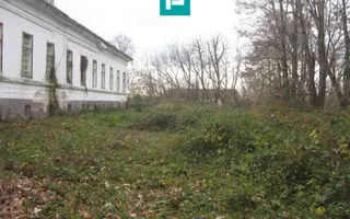 Conac nobiliar de secol XIX cu 8 camere în Maciova - Poză 30