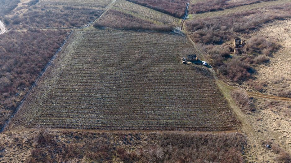 Vita-de-vie Premium  teren de 6800 mp în Covăsinț - Poză 16