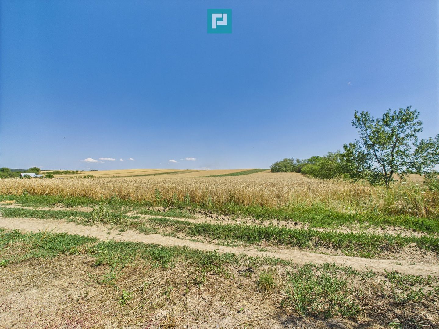 Teren intravilan + extravilan în Remetea Mică - Poză 6