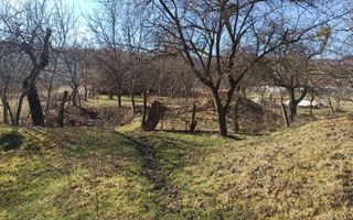 Casa 4 camere-teren 2410 mp-grajd-sura-fanar-magazie-Prundu Bargaului - Poză 1