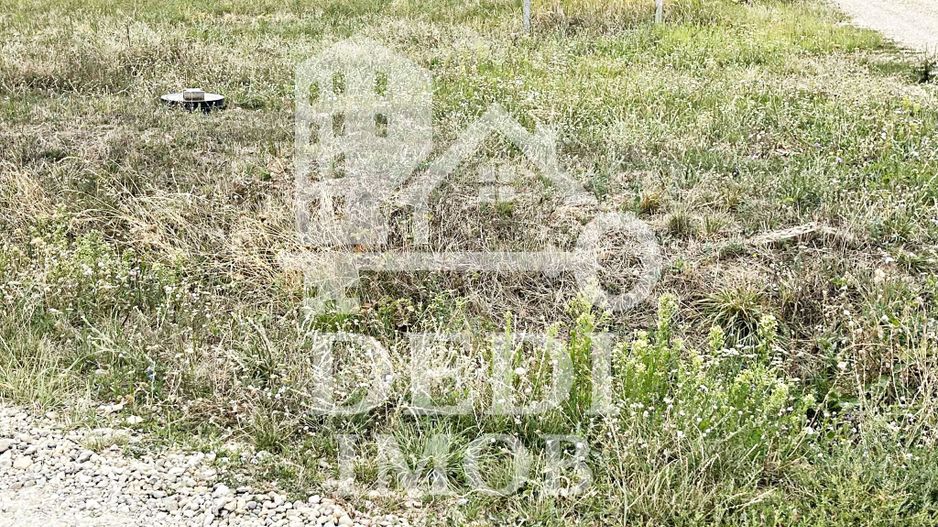 Teren 500 mp de vanzare in Paleu, Bihor - Poză 3