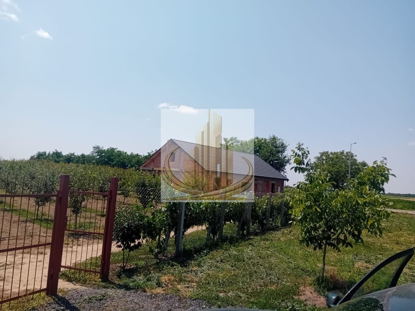 Vand/Schimb Livada Belint 16000mp - Poză 18
