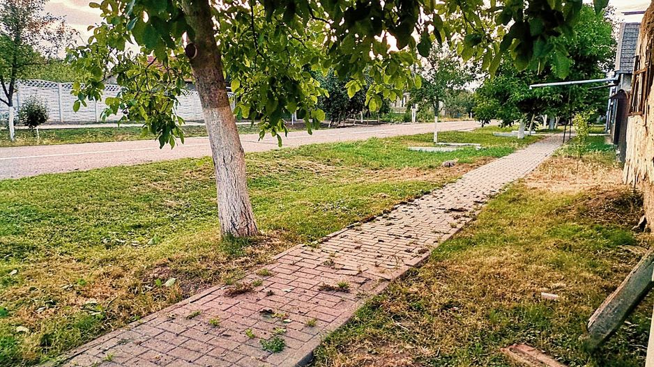 Teren de vânzare în Nadăb, 1.438 mp | Utilități complete | Comision 0% - Poză 5