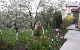 Oaza de liniste in inima orasului – apartament de 3 camere la casa - Poză 1