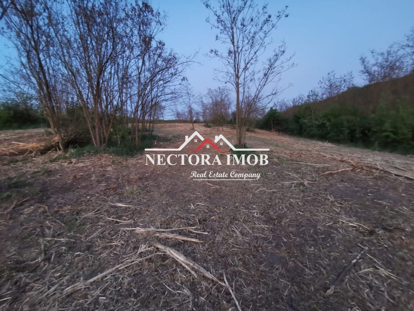 NECTORA IMOB-Loturi de teren 500 mp,Zona Saldabagiu de Munte-Lac Paleu - Poză 1