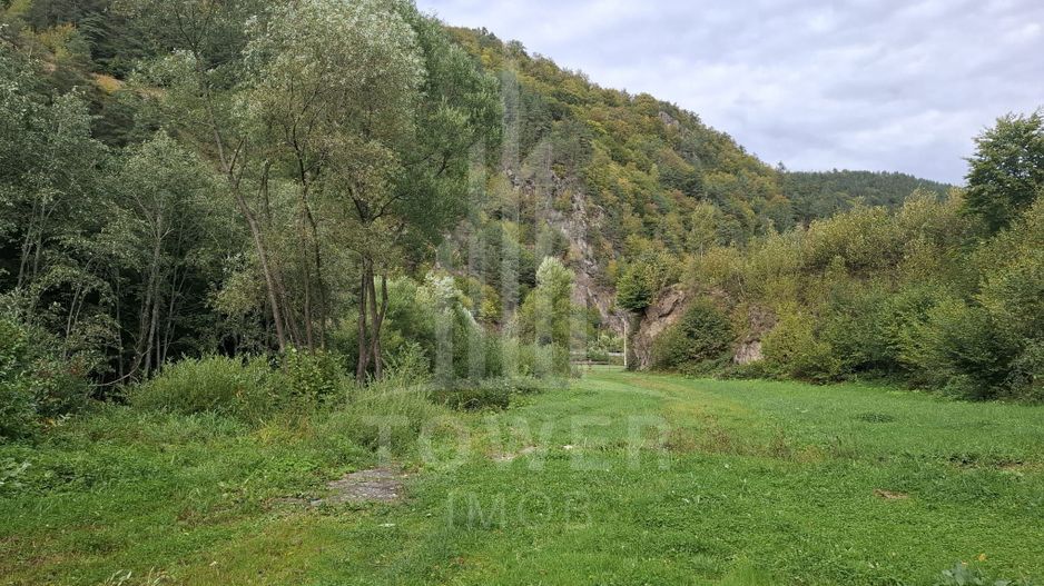 Teren Intravilan de Vânzare – 3622 mp – Râu Sadului - Poză 10