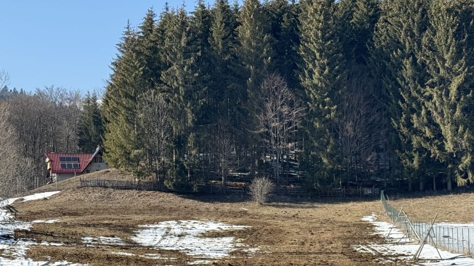 Teren intravilan 4521mp lângă pădure-valea Doftanei -Calea Brasovului - Poză 4