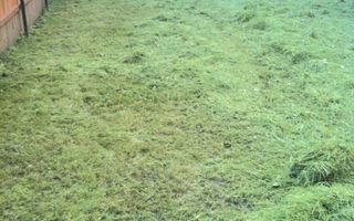 Spatiu de birouri - 450 mp # plus-imo.ro - Poză 4