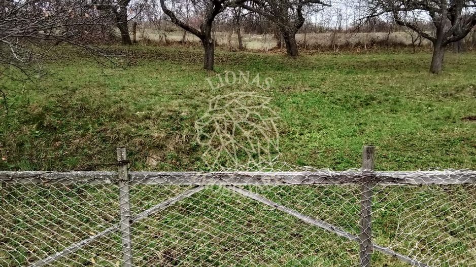 Teren 3966 mp-2 deschideri-curent-investitie-Budacu de Jos - Poză 2