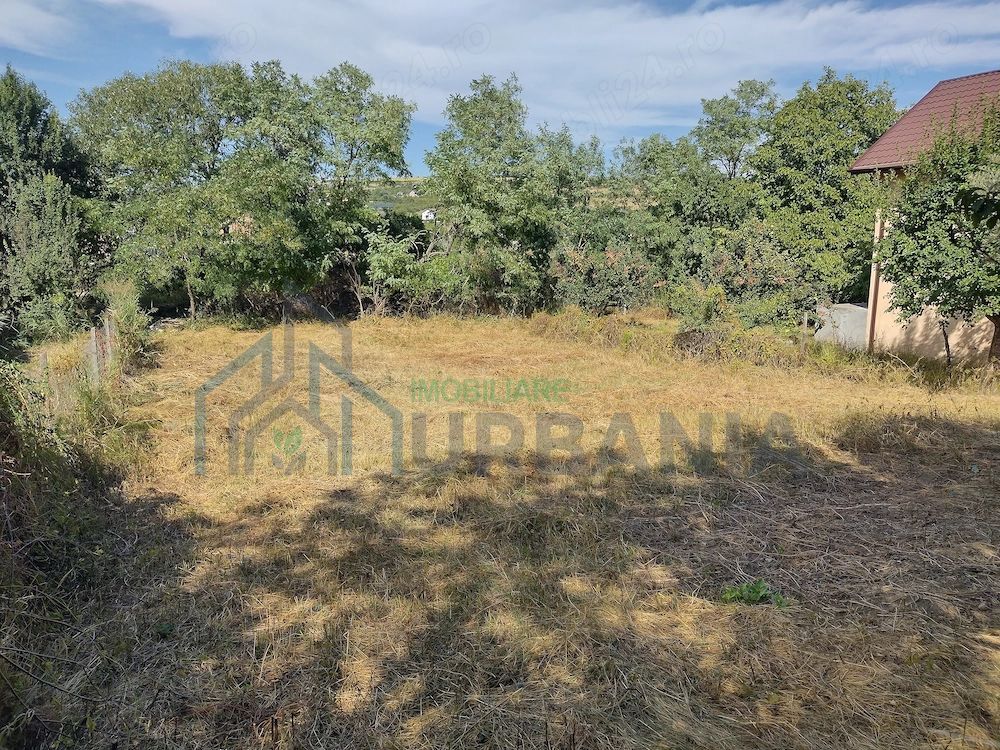 Teren intravilan 482 mp în Chicerea, comuna Tomești, ideal pentru construcție casă - Poză 4