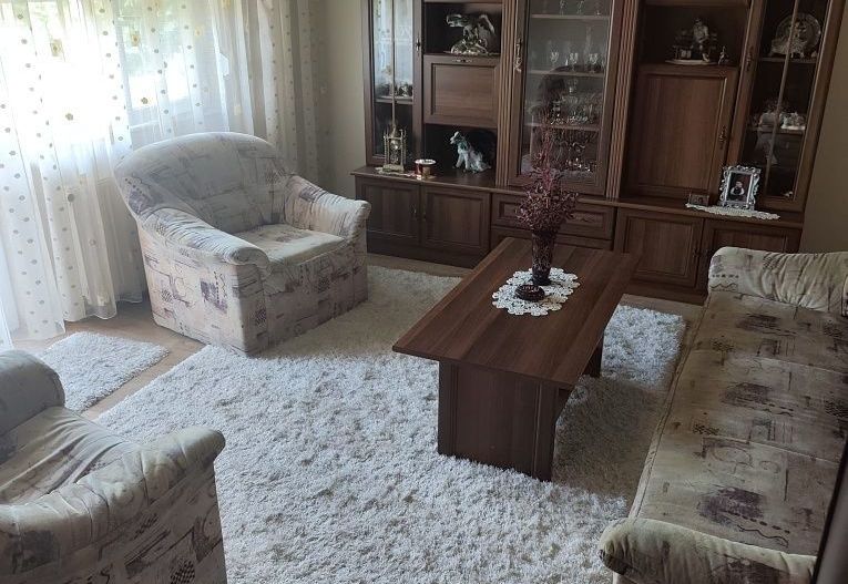 BRASADAS vinde ap 2 cam Micro 16. - Poză 2