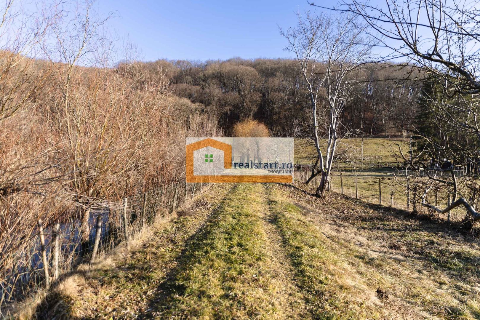 Langa Sighisoara, Inconjurata de Padure, Investitie, ROI min9% - Poză 48