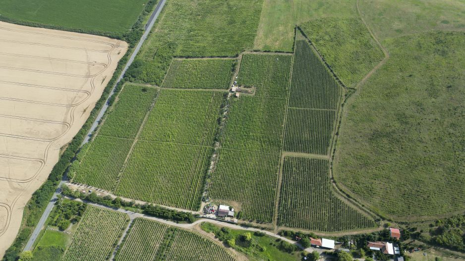 Vie Tradițională „Halta Lupilor” - Poză 38