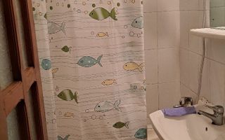 Garsonieră de închiriat, zona Nicolina, strada Pantelimon Halipa nr. 15, scara A, etaj 2 - Poză 4