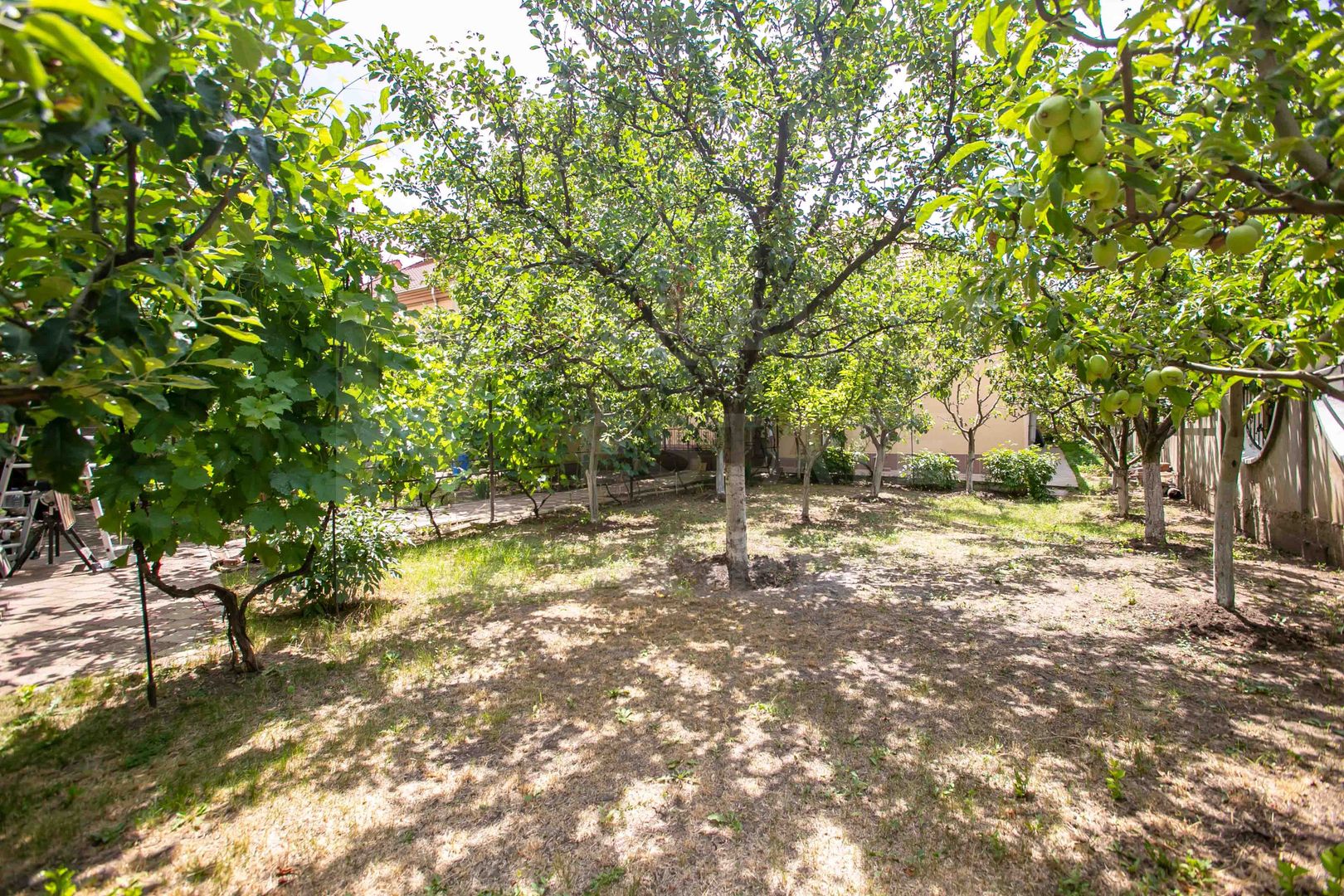 Vânzare, casă, 4 camere, str.Academician Natalia Gheorghiu, Telecentru - Poză 44