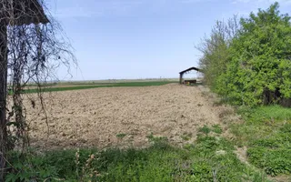 Casa la tara, gaz, acces auto, teren 4122 mp – Petid, Bihor – VANZARE - Poză 16