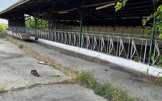 Teren 9.508 mp cu 2 fronturi stradale – Sofronea, Arad - Poză 4