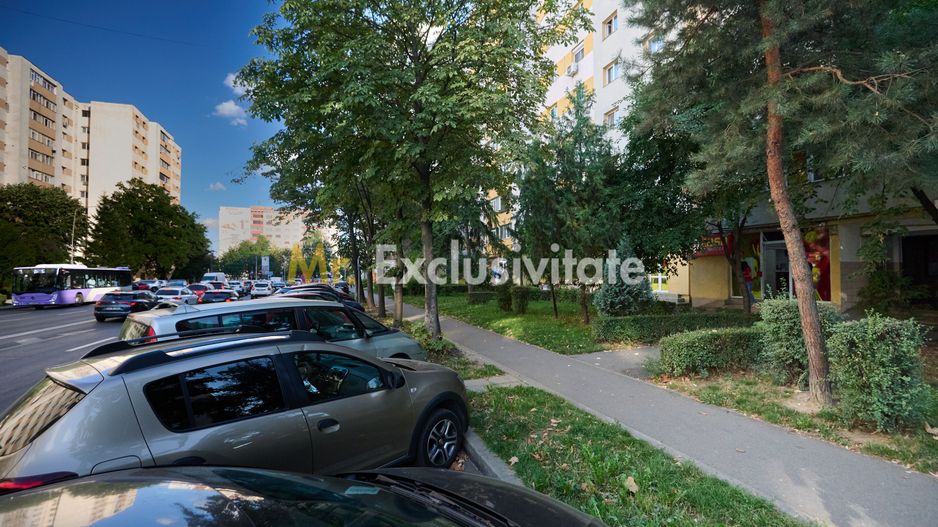 Spațiu Comercial Stradal Open Space | Trafic Intens | Vizibilitate Mar - Poză 10