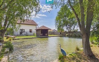 Vilă unică în Șiria | 160 mp utili | Teren 945 mp - Poză 4
