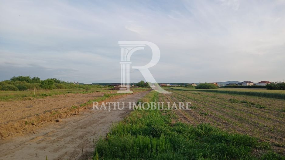 Terenuri intravilane | 500–569 m² | Fughiu | Oșorhei - Poză 12