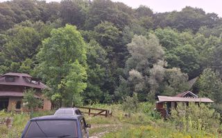 VANZARE ANSAMBLU CASUTE BRADULET ARGES - Poză 10